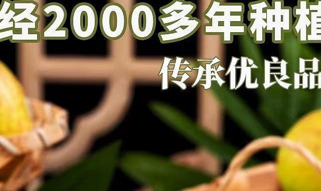新年送礼新选择：新疆库尔勒香梨！