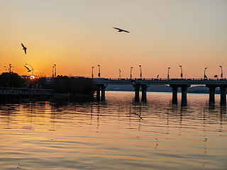 海鸥与夕阳的恋歌