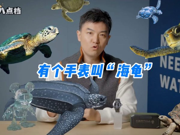 有个手表叫“海龟”？雪铁纳这个主打系列怎么选。