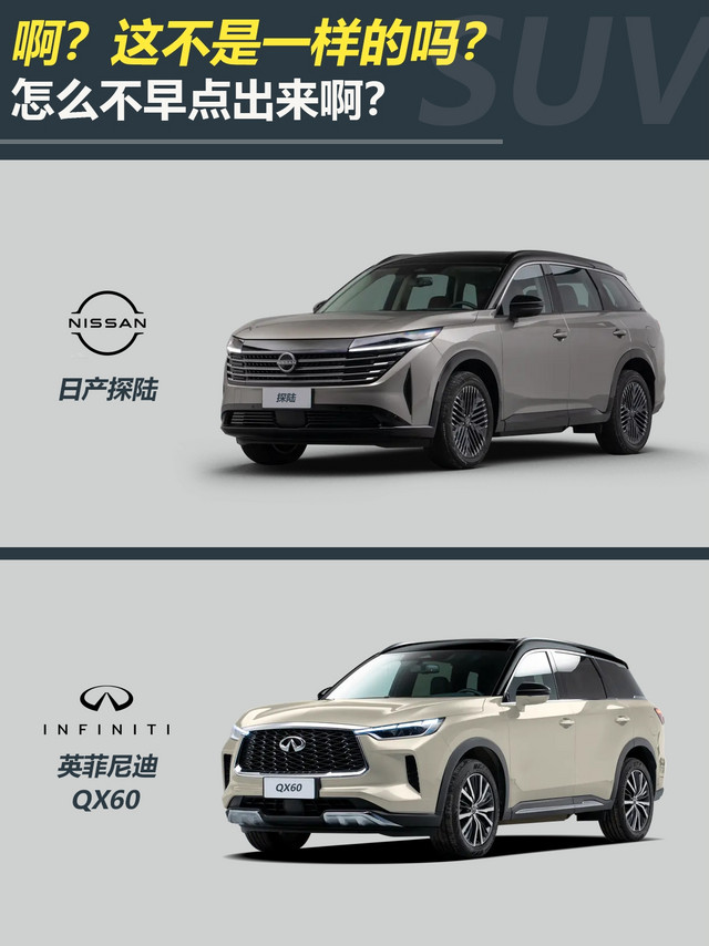 探陆VS QX60，也不是纯换标，但是挺值的