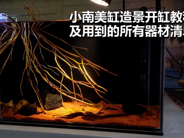 小南美缸造景开缸教程，简单又好看，用到的所有器材和用品都列在这了