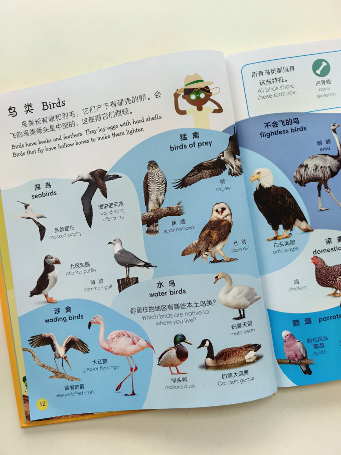 黑龙江少年儿童出版社少儿读物