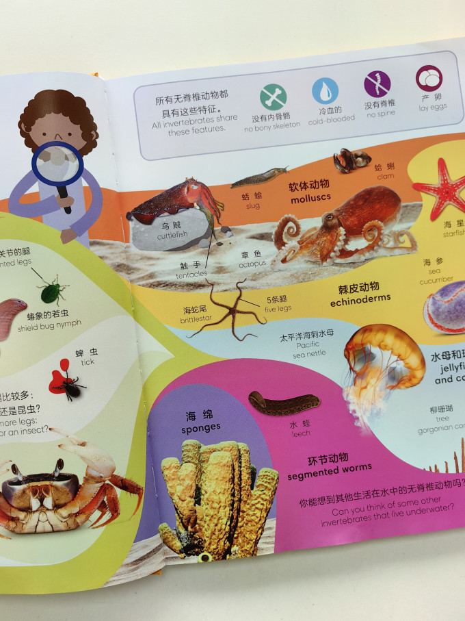 黑龙江少年儿童出版社少儿读物