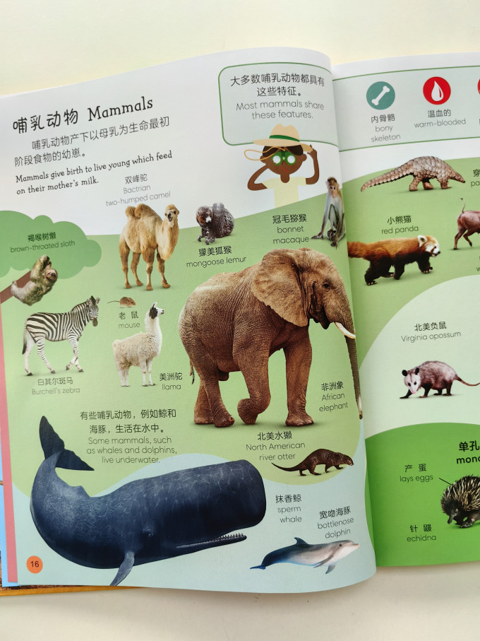 黑龙江少年儿童出版社少儿读物