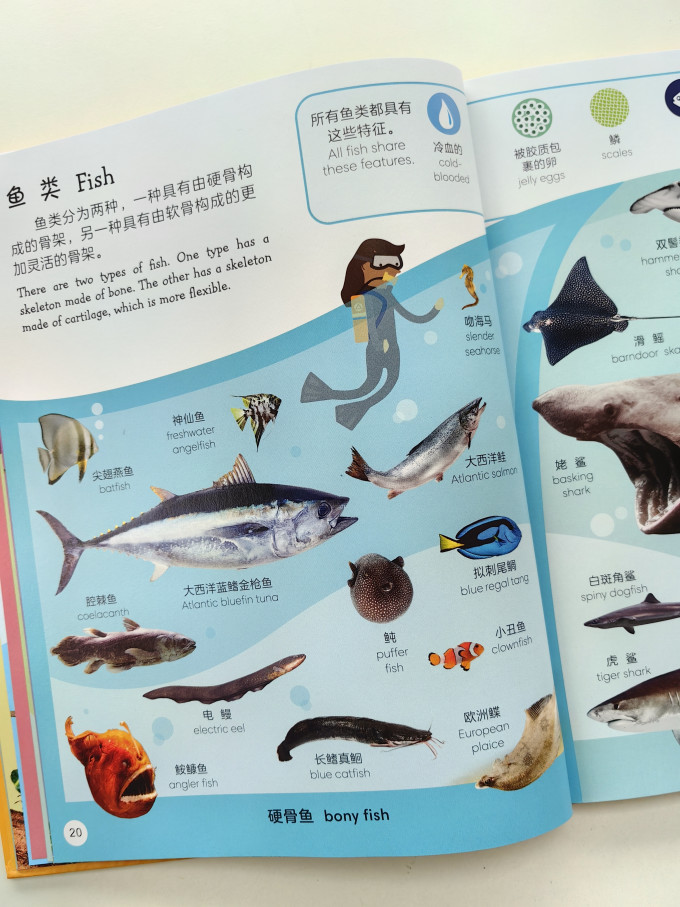 黑龙江少年儿童出版社少儿读物