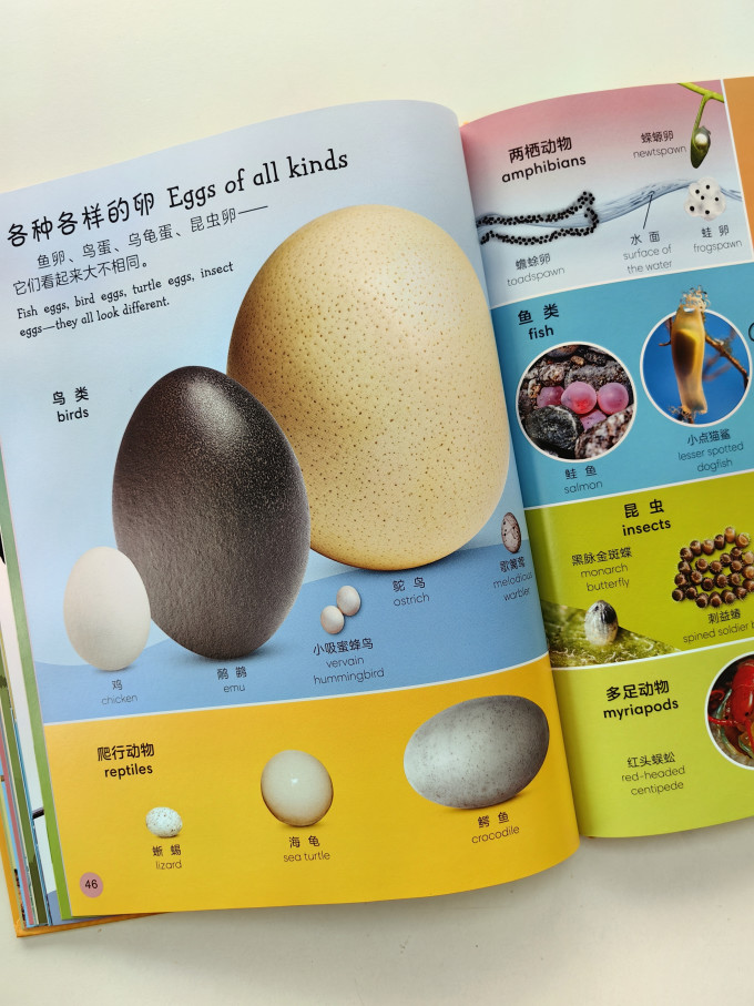 黑龙江少年儿童出版社少儿读物