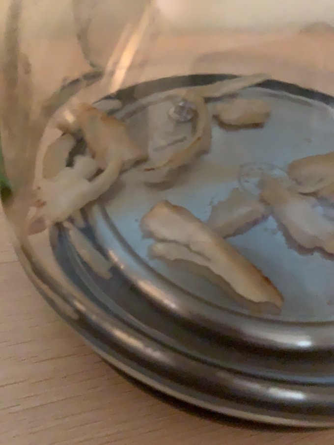 白山农夫基础健康