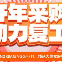 华纳云：海外CN2云服务器20元/月起，50M大带宽服务器限时888元/月，DDoS高防服务器 4折起