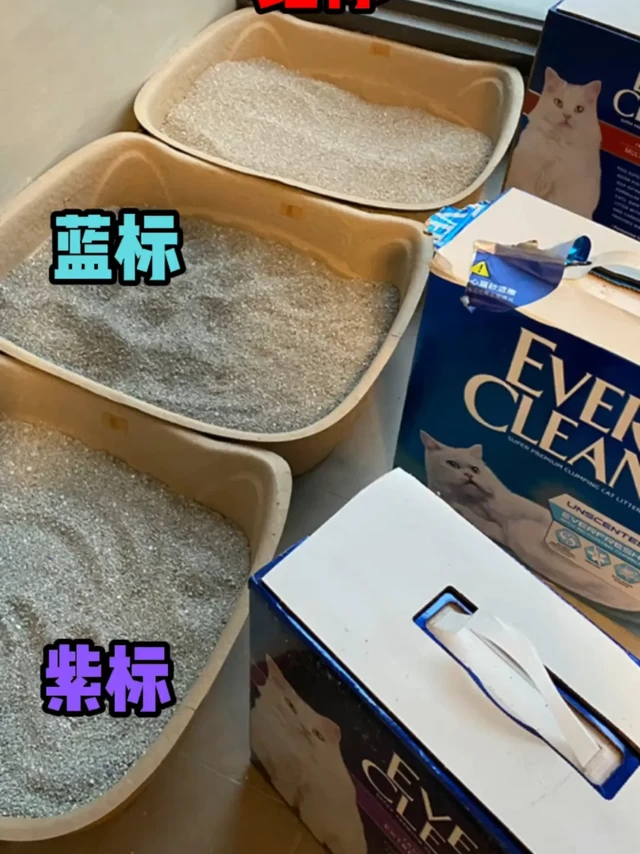 铂钻紫蓝红标1个月纯主观使用体验