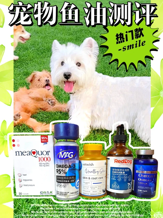 花过4️⃣位数💰买过的宠物鱼油到底有用没?❓