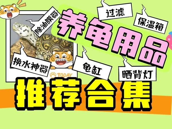【下期】17种养龟好物推荐！养龟人必看！