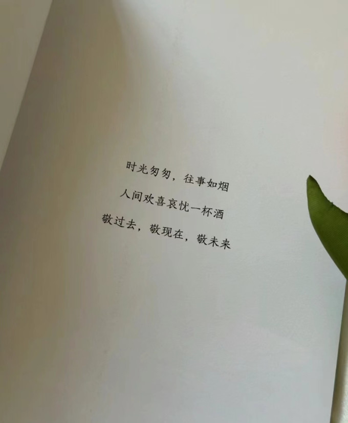 百花文艺出版社文学诗歌