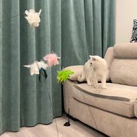 逗猫棒