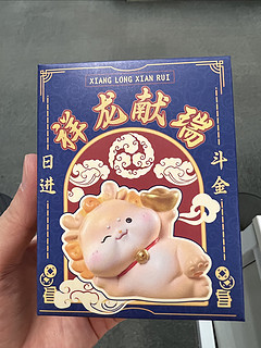 小龙盲盒，不摸鱼可以摸龙龙