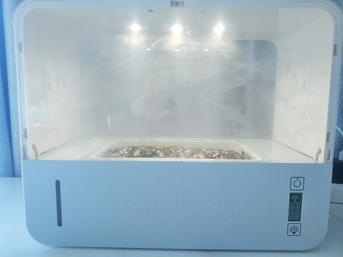 超级菇菇园艺用品
