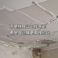 不是除醛公司找不起，而是自己搞更有性价比