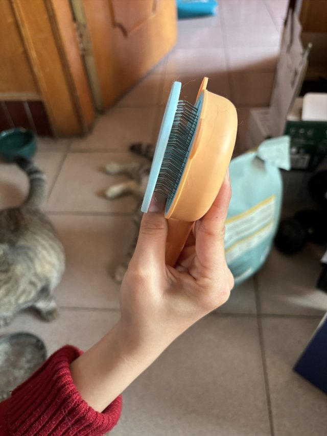 你有猫饼么？？我就有。