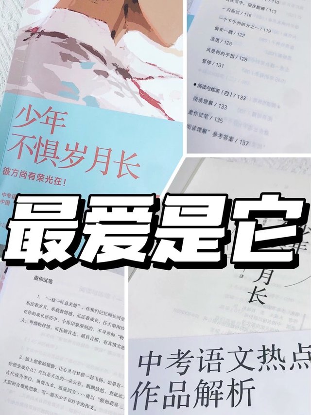 过年期间，最爱的书是它❗️