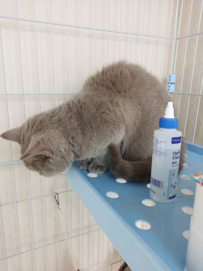 维克日用清洁