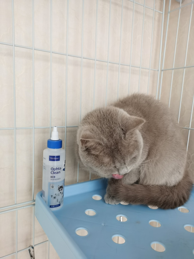 维克日用清洁