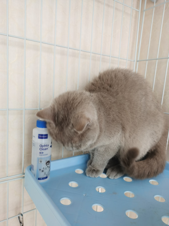 维克日用清洁