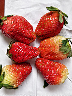 梦芷大凉山奶油草莓，单果30-50g