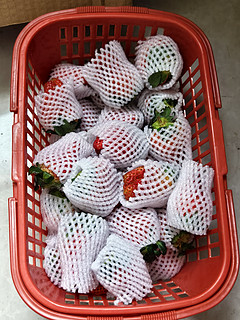 梦芷大凉山奶油草莓，单果30-50g
