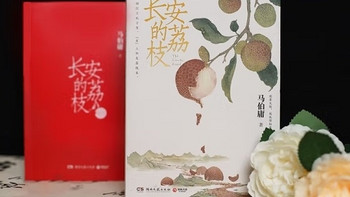 长安荔枝夏日限定！一口爆汁，历史与味蕾的碰撞！