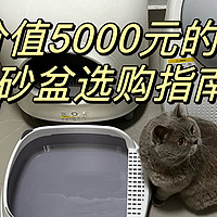 价值5000元的猫砂盆购买指南：买对不买贵，拒交智商税