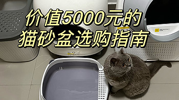 价值5000元的猫砂盆购买指南：买对不买贵，拒交智商税