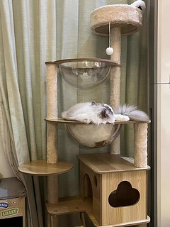 猫爬架猫窝猫树一体实木太空舱通天柱猫架子剑麻玩具猫咪用品大全