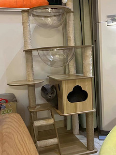 猫爬架猫窝猫树一体实木太空舱通天柱猫架子剑麻玩具猫咪用品大全