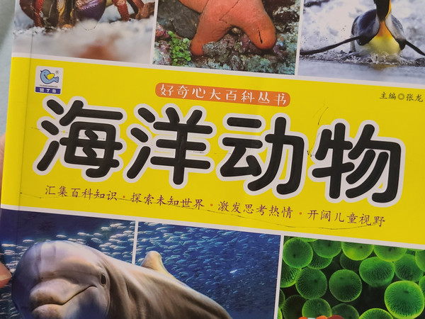 好看的绘本，让孩子乖乖安静下来