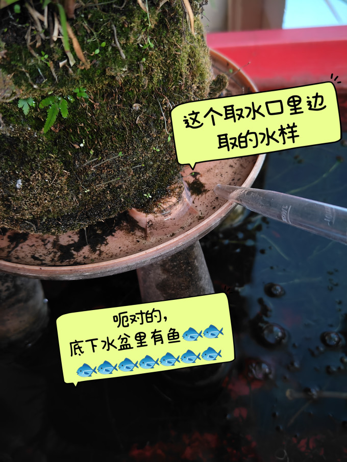 九阳滤水壶