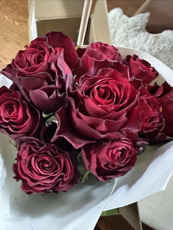 京东鲜花鲜花