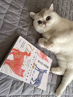 一本猫咪写给人类的书