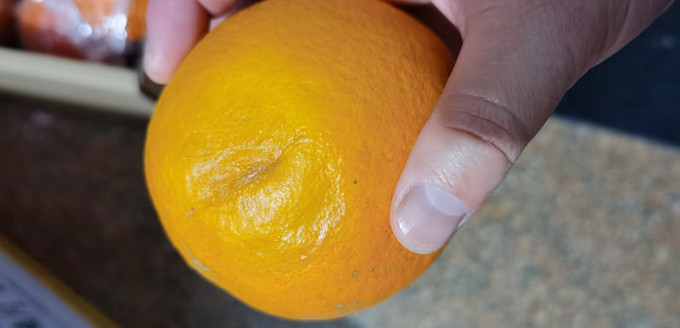 都乐橙子