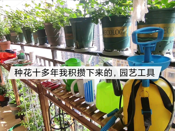 种花十余年，我积累了哪些园艺工具？大家快来围观吧！