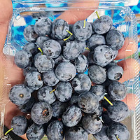 蓝莓不仅好吃，还能带走你的“莓”烦恼