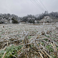 当元宵节碰上冰雪天