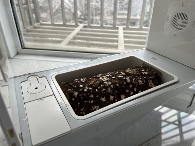 超级菇菇园艺用品