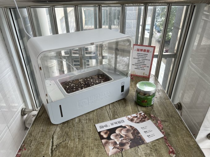 超级菇菇园艺用品