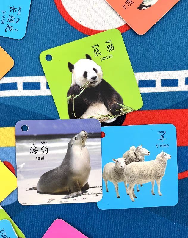 儿童益智识字卡片，有趣又好玩
