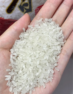 十月稻田 2023年新米 长粒香大米 东北大米 香米 5kg
