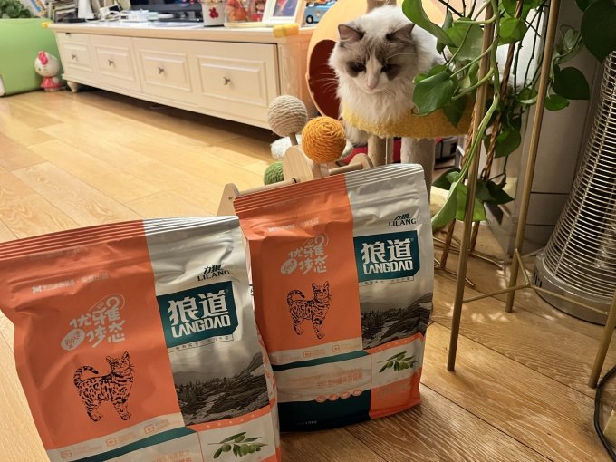 力狼猫咪干粮
