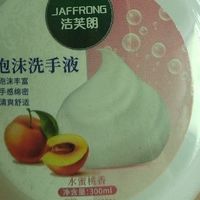 洁芙朗（泡沫洗手液300ml