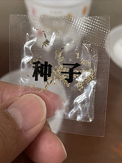 你别说，这小植物还真挺精细！