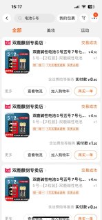 碱性电池