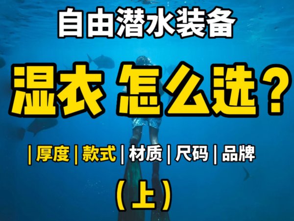 小白必看！自由潜水湿衣怎么选（上）
