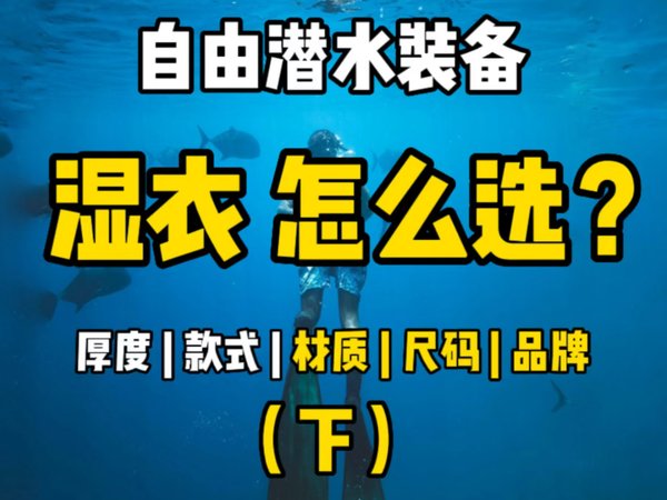 小白必看！自由潜水湿衣怎么选（下）